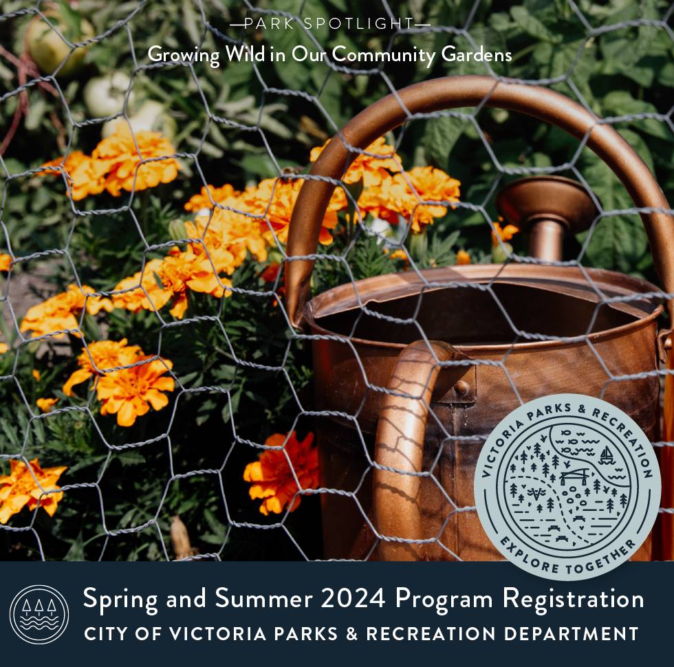 Summer_2024_Programs_Website-01 - Copy